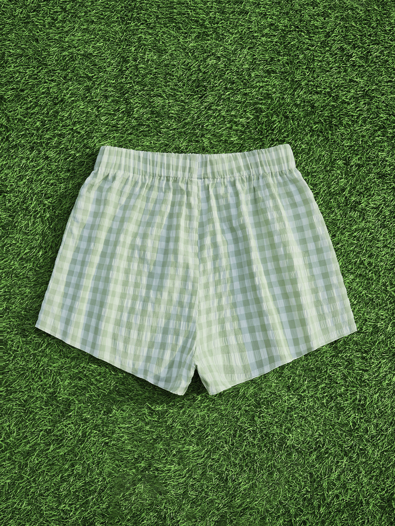 Gingham Print Elastic Waist Shorts