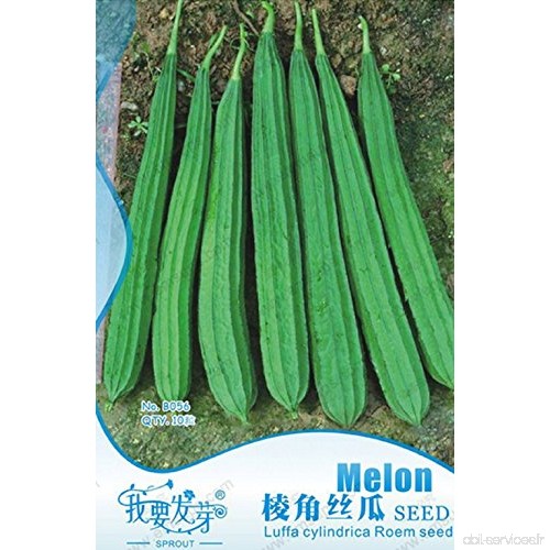 ❦ 10 graine de courgette Luffa Cylindrica Roem graine dans son emballage dorigine - éponge végétale naturelle - B01FYBR4NA