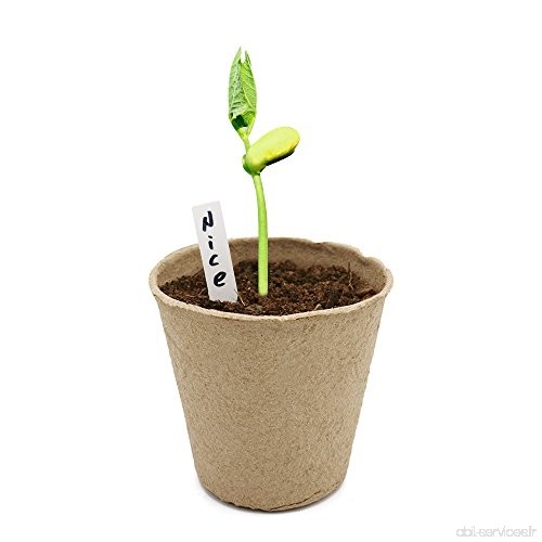 100 petits pots de semis en fibre biodégradable de 8 cm  avec 100 étiquettes blanches en plastique de 1 x 5 cm - B078XRHQX5
