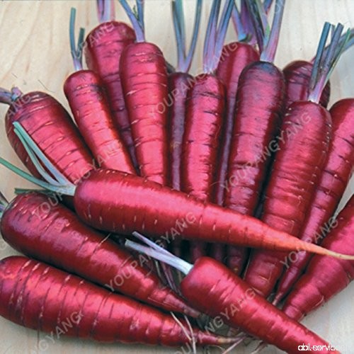 100pcs carotte Semences bio Hygiène de fruits Graines de légumes 25 sortes pour choisir douce et plante sain pour jardin Plantat