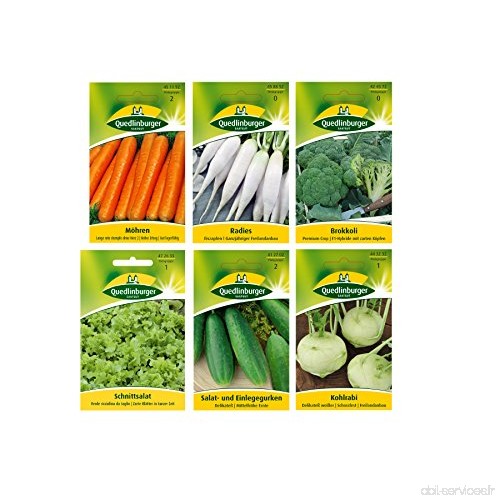 12 variétés | Assortiment de graines de légumes | adapté aux débutants | mélange robuste | maintenant prix spécial d'hiver - B06