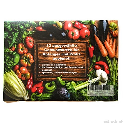 12 variétés | Assortiment de graines de légumes | adapté aux débutants | mélange robuste | maintenant prix spécial d'hiver - B06
