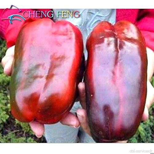 150pcs 16 couleurs mélangées Jaune Rouge Vert Blanc doux mélange de Bell Hot Pepper Graines Légumes Paprika semences * Plantes j