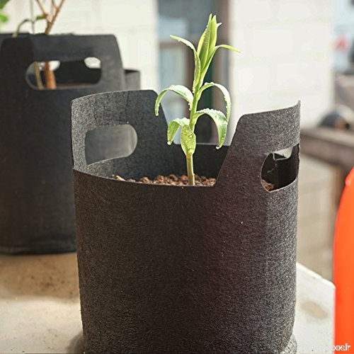 2 gallons Plant Growing Bag Sacs de jardinière avec sangles de poignées Pots de tissus d'aération Non tissés Impression respirat