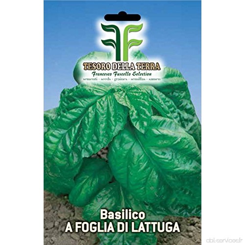 ❦ 7200 C.ca Salade de feuilles de laitue au basilic - Basilic Ocymum en emballage d'origine Made in Italy - B07B7CGGKX