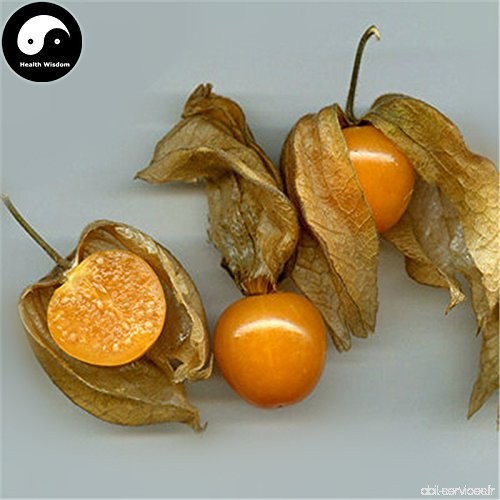 Acheter Physalis Pubescens Fruits Graines de plante chinoise Lanterne Fruit Cerise - B077BPVC4J