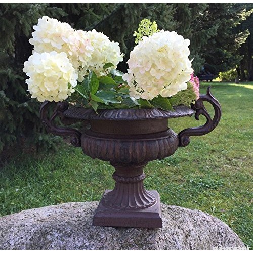 antikas – Bacs Coque – amphoren  pots de fleurs baroque terrasse pour fleurs - B078NYNGC3