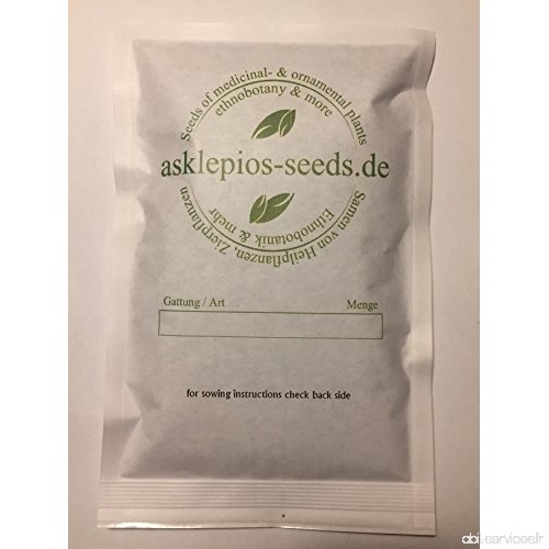 Asklepios-seeds® - 50 graines de Moringa Oleifera  moringa  rède mouroum  néverdier  arbre pilon - B00G5905BO