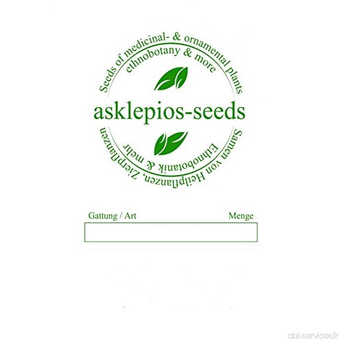 Asklepios-seeds® - 50 graines de Moringa Oleifera  moringa  rède mouroum  néverdier  arbre pilon - B00G5905BO