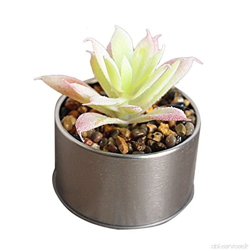 awhao Bonsaï Artificiel Mini Plante Succulente Artificielle Décorative avec Pot de Fer (Type E) - B07C8LGL3D