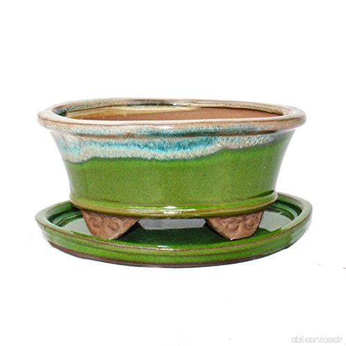 bonsaï Bol avec soucoupe gr. 2 – Special Glaze Noble avec effet dégradé – Ovale 09 – lumière Green-beige – L 16 cm – L 12 cm – H