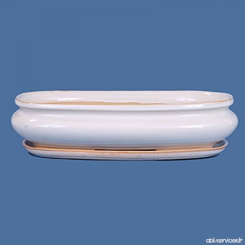 Bonsaï – Coque avec soucoupe  blanc 31028 ovale 27 5 x 17 5 x 6 cm - B01M3SULFL