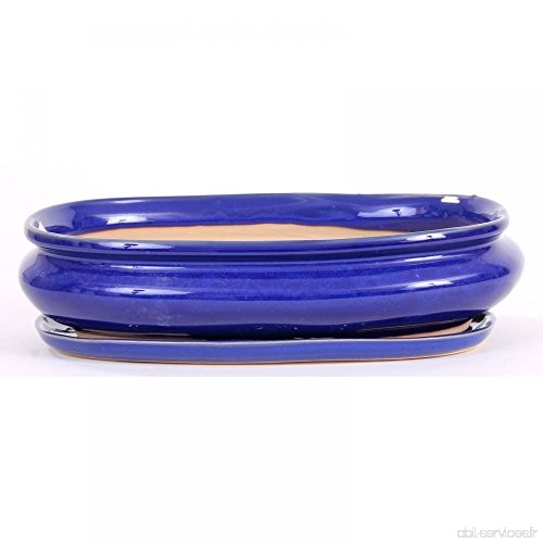 Bonsaï – Coque avec soucoupe Bleu Ovale 27 5 x 17 5 x 6 cm  31022 - B01J9RS6ZU
