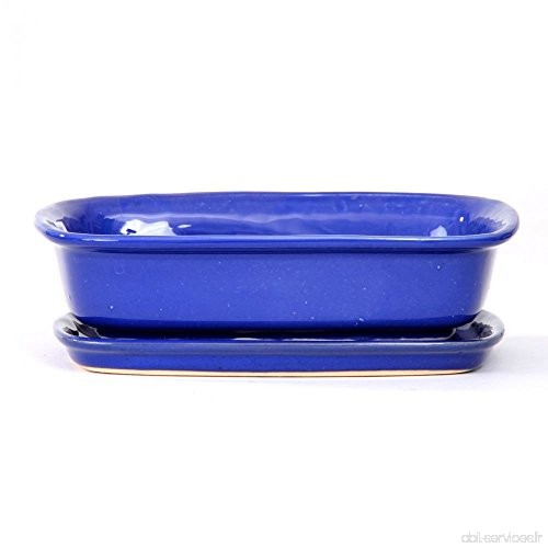 Bonsaï – Coque avec soucoupe rectangulaire 23047 Bleu 19 5 x 14 x 5 5 cm - B019B5ETTC
