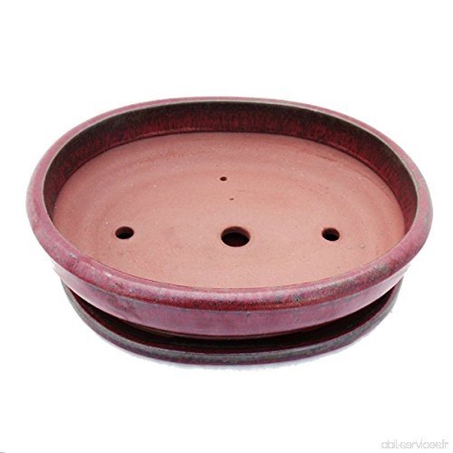 Bonsai pot avec soucoupes  6--cuivre or rouge-ovale-longueur :  36 cm - 28 cm-hauteur 10 cm - B00OCBA0DU