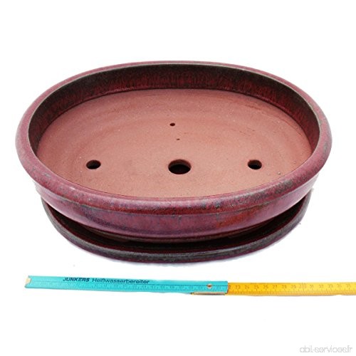 Bonsai pot avec soucoupes  6--cuivre or rouge-ovale-longueur :  36 cm - 28 cm-hauteur 10 cm - B00OCBA0DU