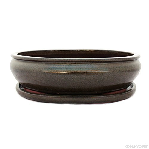 Bonsai pot avec soucoupes  6–oliv ovale-marron-longueur :  36 cm de largeur - 28 cm-hauteur :  10 cm - B00OCBCH4A