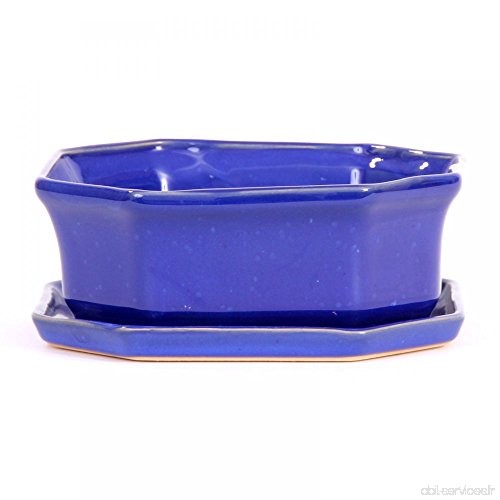 Bonsaï – Rigide 8 pans 18 5 x 18 5 x 6 5 cm  avec soucoupe Bleu 23092 - B01J9RRWA0