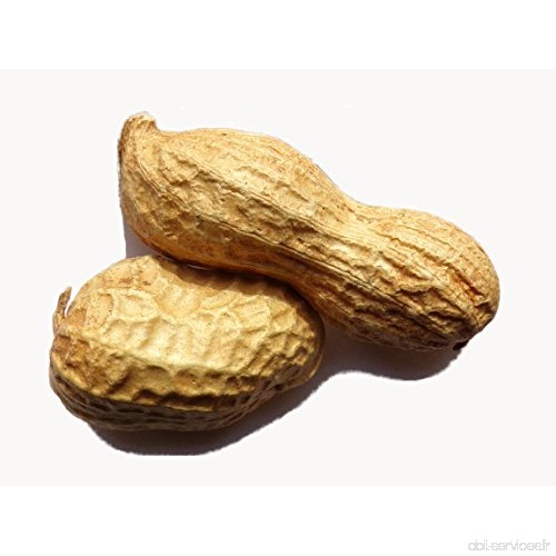 Cacahuète - 2 coques - Arachis Hypogaea - Peanuts - ( Engrais Vert - Green Manure ) - SEM03 - B01BZVJHZ6