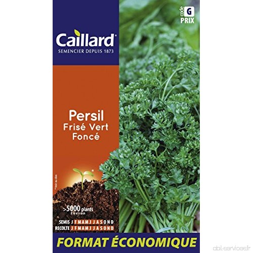 Caillard PFCD14401 Graines de Persil Frise Vert Fonce - B00SWPR6ES