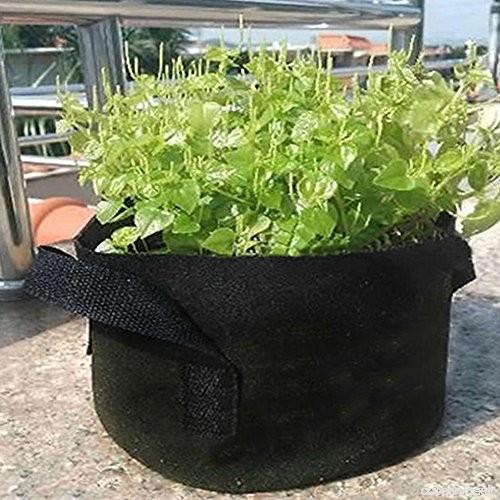 Calistouk rond Tissu Noir Pots Plante Pochette Racine Poussent Sac à nourriture 2 Gallon - B07BVPN75P