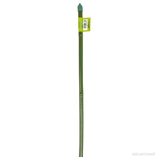 Canne 1 Tuteur bambou plastifie vert 150 cm Verdemax plantes fleurs - B079VTW24L