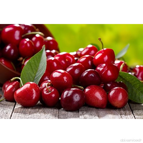 COULEURS JARDIN (COVSF) CERISIER NAIN Fruit me Cherry me rouge 4 LITRES - B076SN7YKM