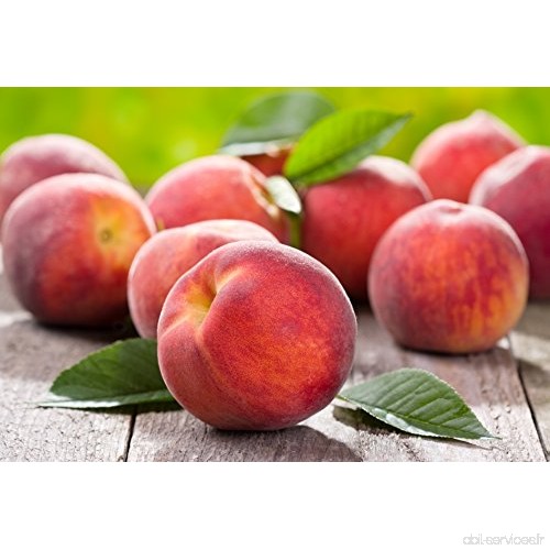 COULEURS JARDIN (COVSF) PECHER Fruit me Peach me red Rouge 4 LITRES - B076SNPWTP