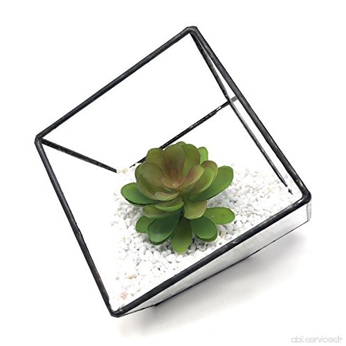 Cube de terrarium en verre de qualité 10 Ultra Premium avec un bord coupé parfait pour la mousse et les plantes ou décorations (