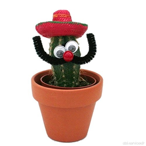 Desertworld Gobelet - Cactus Mexicain avec Sombrero - Rouge - B077Z7PZCN