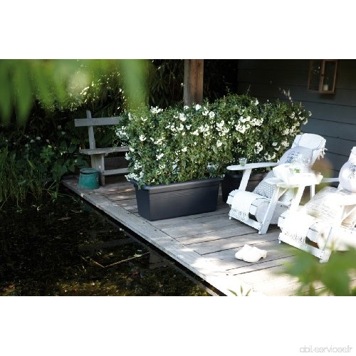 Elho 2055436 Green Basics Garden Pot de Fleurs Noir Taille XXL 100 x 50 x 42 cm - B007HOGTOS