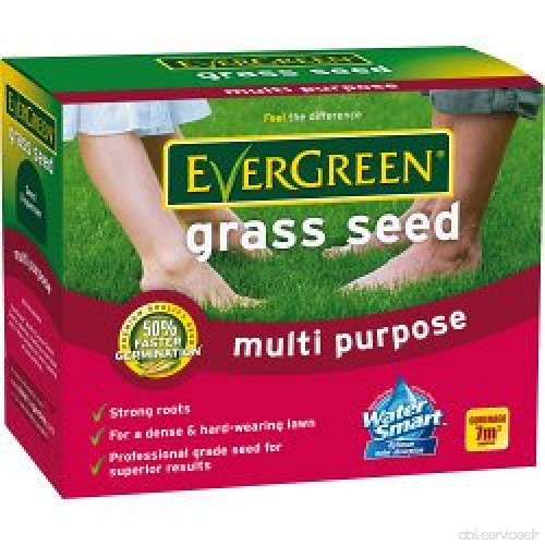EverGreen Multipurpose semences de gazon 210g carton - B01C7IXAPO
