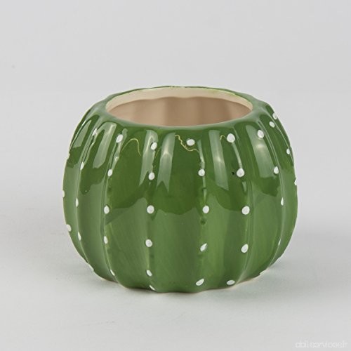 Extraordinaire Pot Pot Cactus  11 5 x 8 cm - B01NBVG1MI