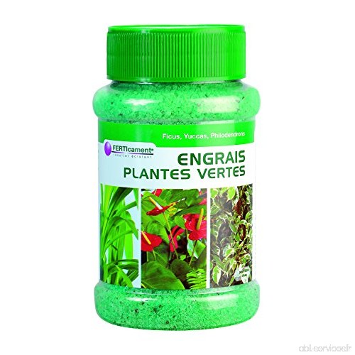 FERTICAMENT Engrais Plantes Vertes - Blanc 7 8 x 7 8 x 13 9 cm - B0711T71J7