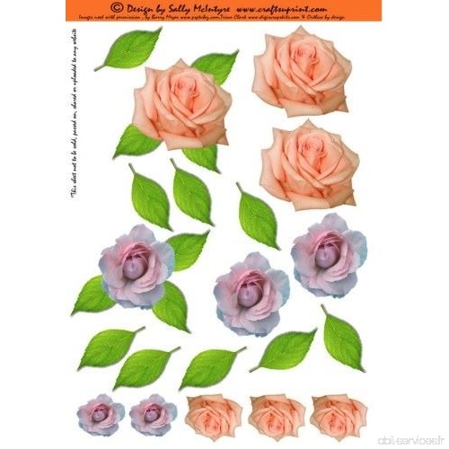 Feuille A4 pour confection de carte de vœux - just 3d flowers roses par Sally McIntyre - B00FAAQ1DU