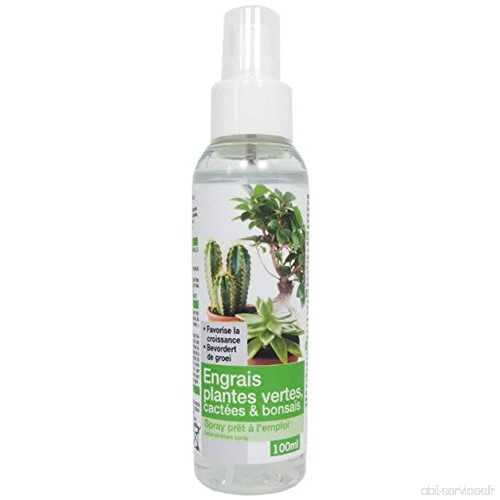 Florendi Jardin Engrais Plantes Vertes/Cactus/Bonsaï Spray Prêt-à-l'Emploi - Blanc 3 7 x 3 7 x 15 2 cm - B071FBJJ3M