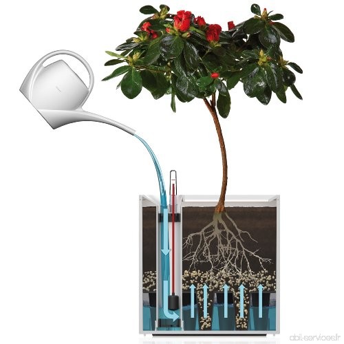 Flower 41116610 Lover Quadrato Cache-pot avec Système d'Irrigation Anthracite 18 x 18 x 17 cm - B0081XAX0K