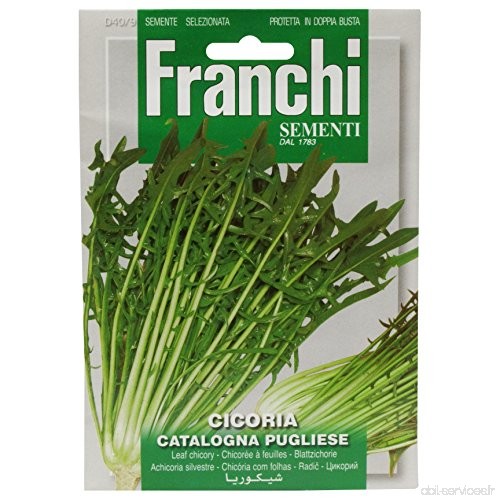 Franchi Graines de chicorée à feuilles Catalogna Pugliese - B00E7QQRRS