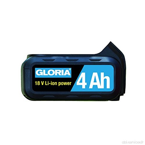 Gloria MultiBrush Batterie li-on - B01M3T07D3