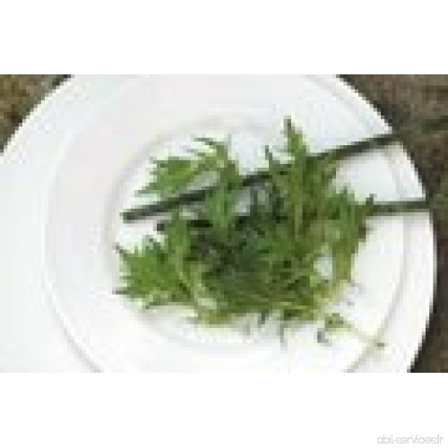 Graines Bio - Oriental Légumes - Suffolk herbes - Mizuna - Flux Lot - B00AQTHN50