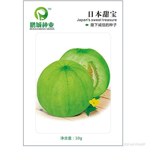 Graines de fruits japonais doux trésor de semences Melon crujientes et deliciosos peuvent pasarse a pot de 10 g - B01M1RL444