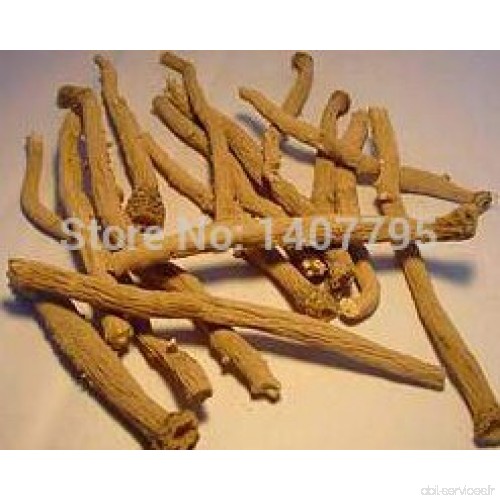 graines Herbes végétales Isatis tinctoria  Médecine chinoise Herb Graines 100pcs - B01LZJ6YL5