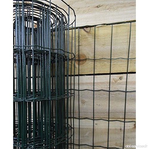 Green Blade BB-CW130 Grillage de clôture pour jardin en PVC Vert 10 x 0 6 m - B00871XA3S