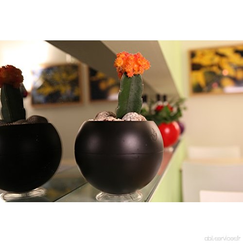Greenbo Greenball Pot avec 3 supports et réserve d'eau  17 x 14.3 cm 17x17x14.3 cm noir - B00JXR44RG