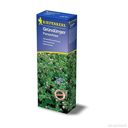 Gründünger-Saaten Perserklee  400 g Trifolium resupinatum - B00BG64MK6