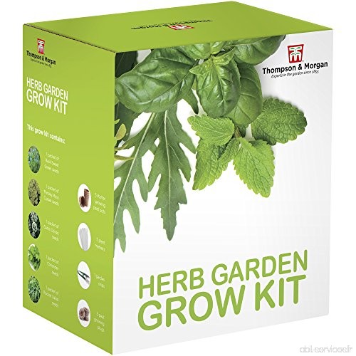 herbe jardin graines Kit en culture boite cadeau par THOMPSON & MORGAN - 5 traditionel Délicieux Herbes pour Grow ; basilique  p