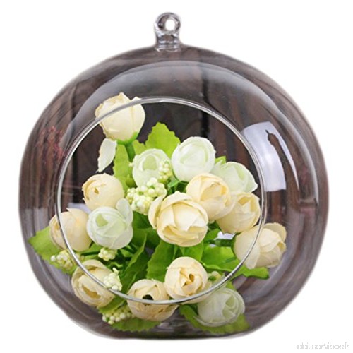 Hosaire Petit Vase en Boule de verre Suspendue Vase Suspension Plante Macramé Porte-plante Fleurs Pot Décoration du Jardin Maiso