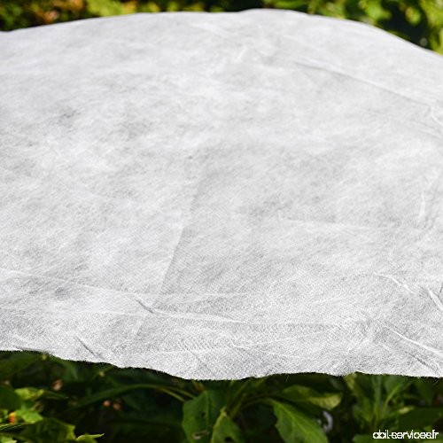 Jardin W-40g Plant protection Non-weave Tissu Couverture contre les Snow Frost Hail insectes 3M x 6M blanc - B01MCQ729S