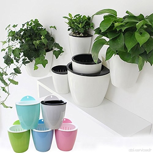 Jardinière créative - A fixer au mur avec fonction de stockage d’eau - Plusieurs couleurs disponibles Small（10.5*10.7cm） A--Whit