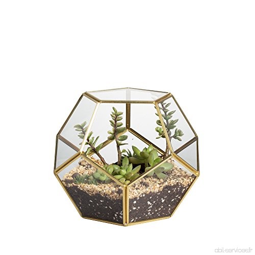 Jincao Terrarium en forme de dodécaèdre et plaques de verre pentagonales pour plante Transparent gold copper transparent - B01NB